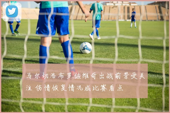 马尔切洛布罗佐维奇出战前景受关注 伤情恢复情况成比赛看点